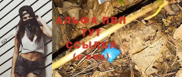 стаф Горно-Алтайск