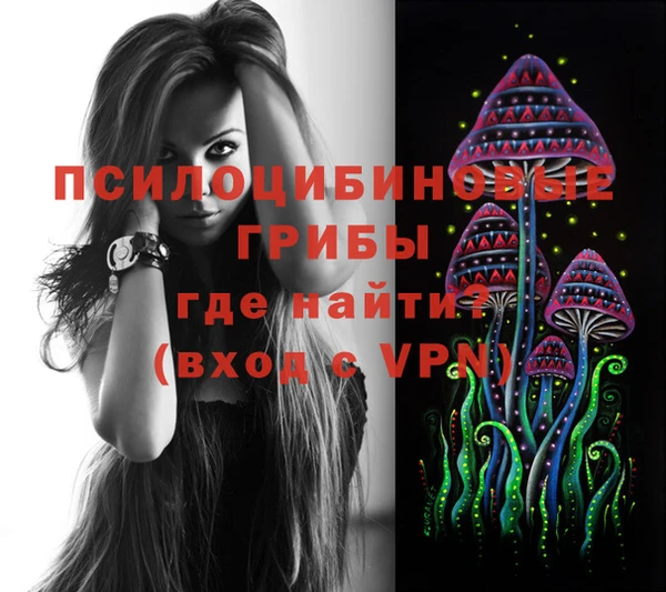стаф Горно-Алтайск