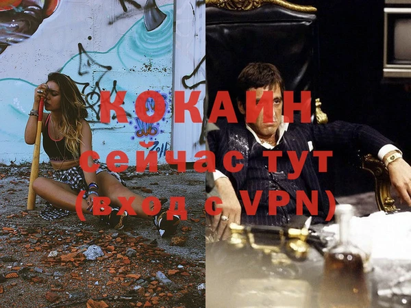 стаф Горно-Алтайск
