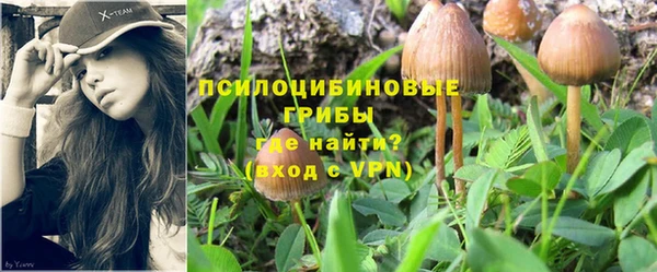 трава Горнозаводск