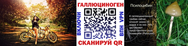 Купить закладки Камбарка Псилоцибиновые грибы Magic Shrooms